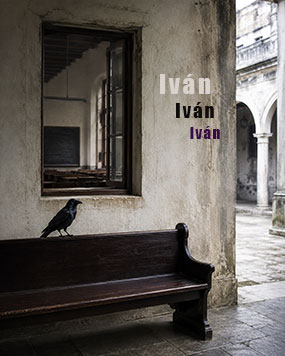 The Raven